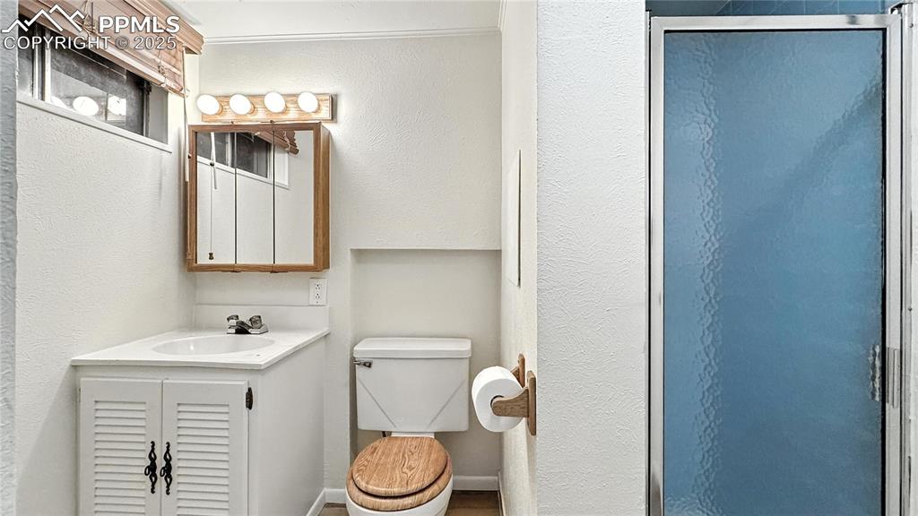 Image 39 of 50: Basement level bathroom with an enclosed shower