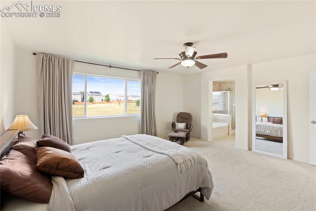 Image 23 of 38: Master Bedroom