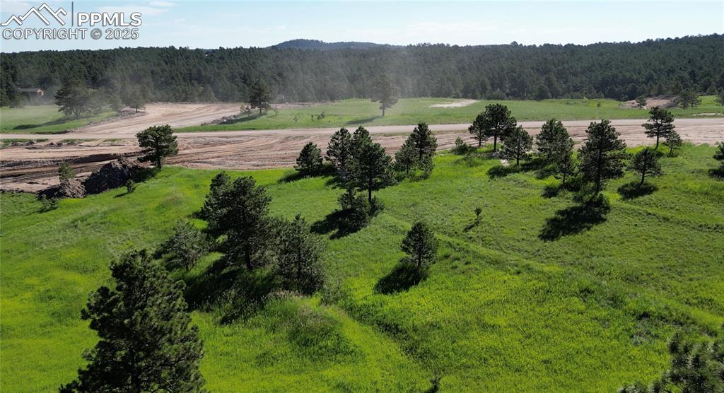 Image 3 of 5: No Description Available