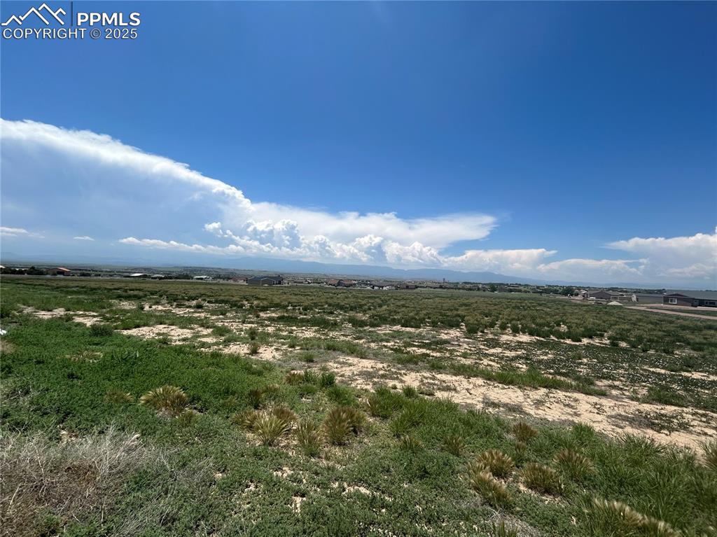 Image 10 of 13: Other