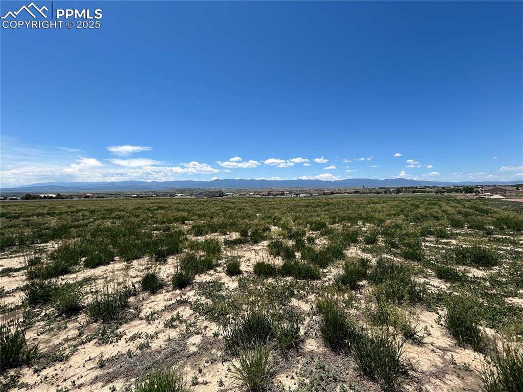 Image 11 of 13: Other