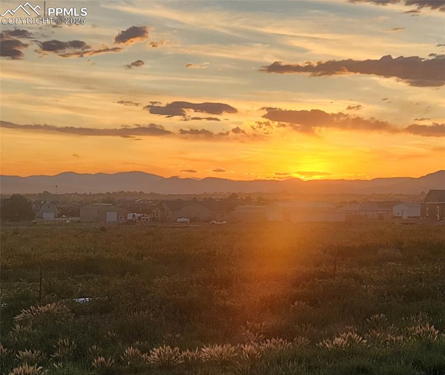 Image 12 of 13: Other