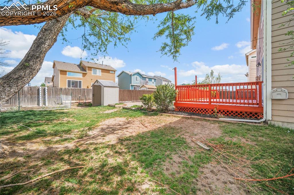 Image 36 of 49: No Description Available