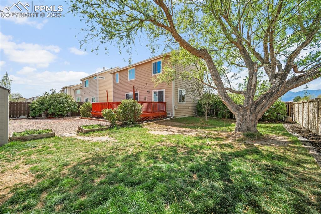 Image 39 of 49: No Description Available