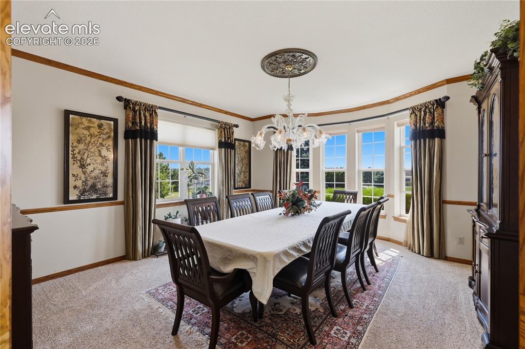 Image 15 of 49: Bay window with multiple glass panes, decorative ceiling medallion, ornate