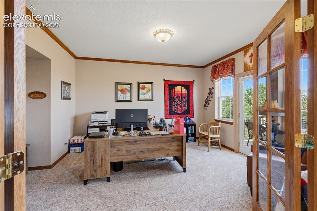 Image 23 of 49: Office 2 of 2 - Carpeted interior with wood-finish trim and crown molding