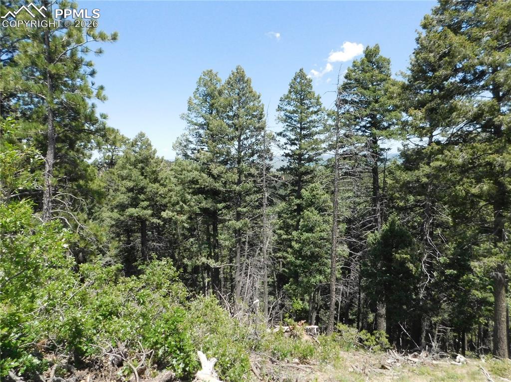 Image 18 of 22: No Description Available