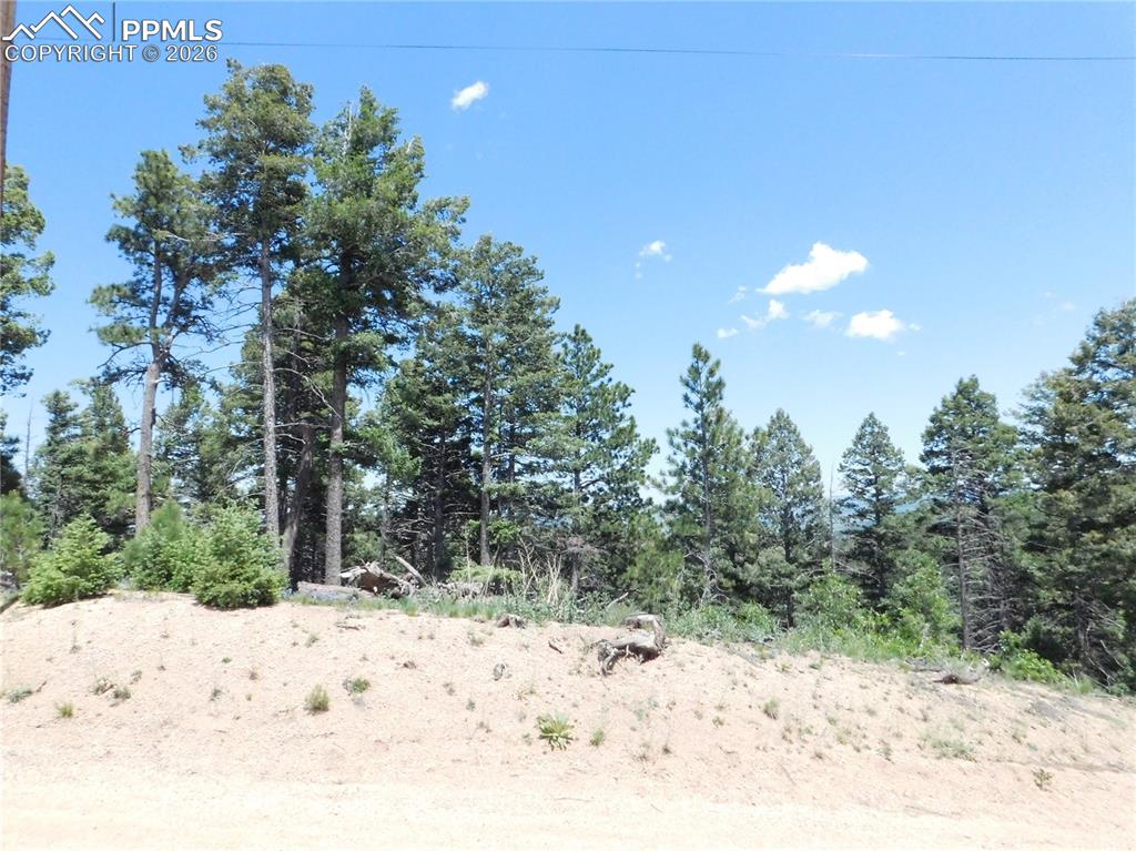 Image 20 of 22: No Description Available