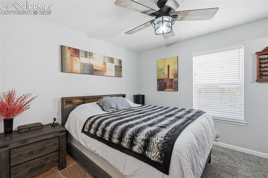 Image 12 of 28: Bedroom featuring light gray walls, plush carpet, a window with white blind