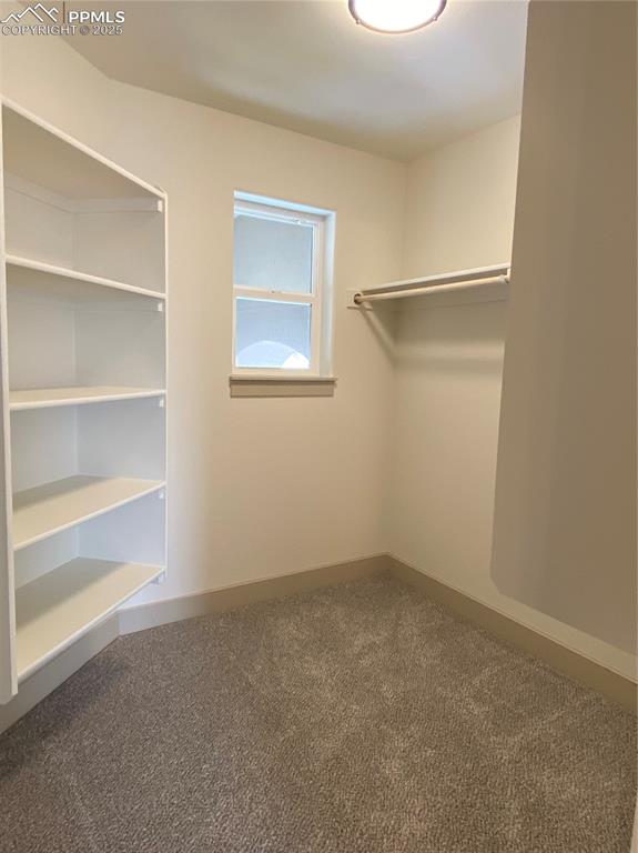 Image 22 of 35: Spacious closet with carpet