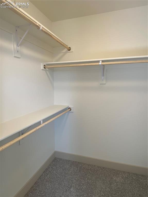 Image 26 of 35: Spacious closet featuring carpet