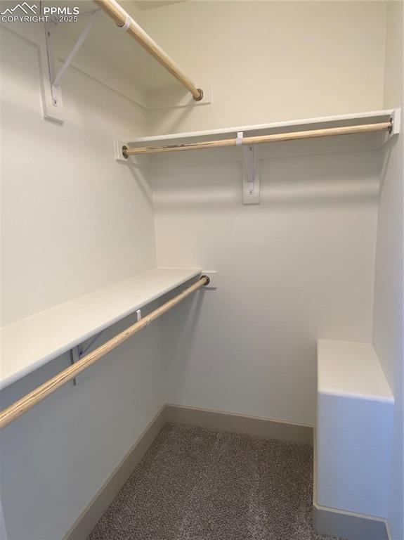 Image 30 of 35: Walk in closet with dark colored carpet