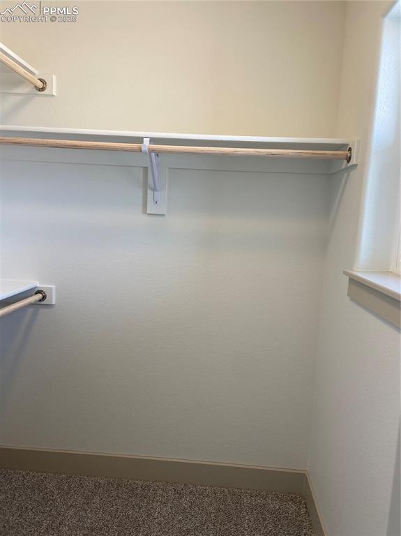 Image 32 of 35: Spacious closet with carpet flooring