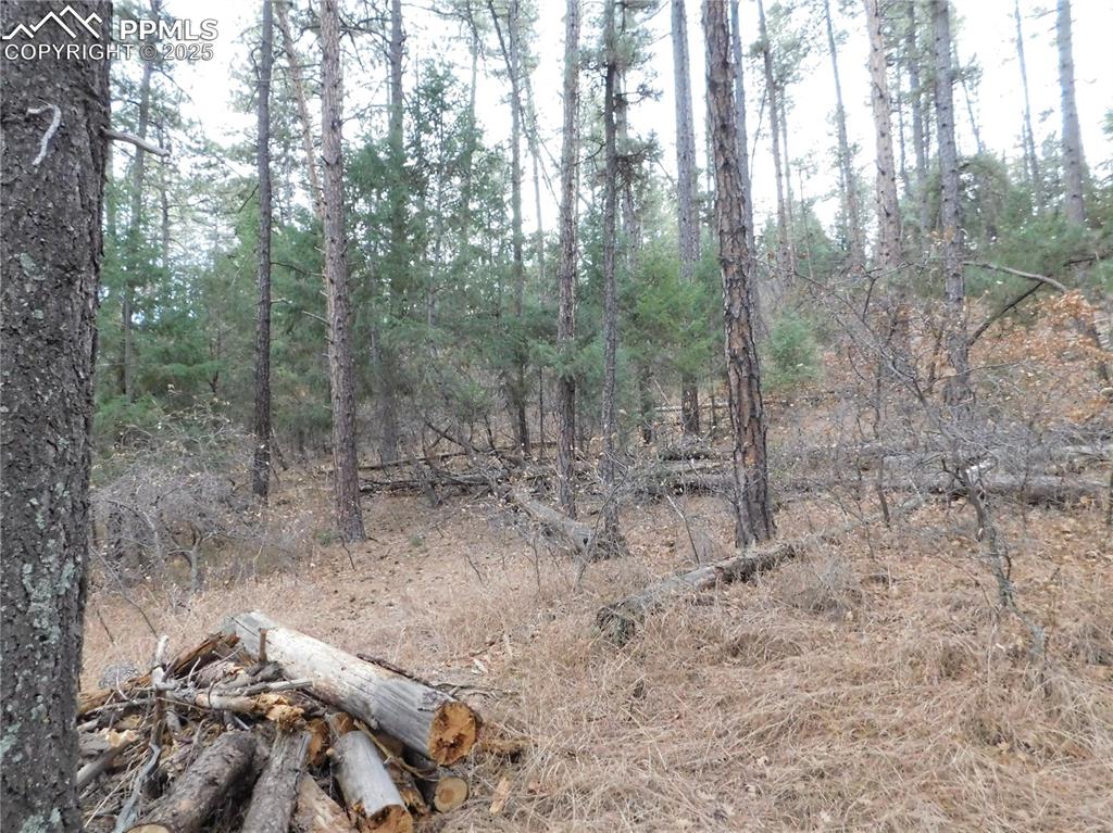 Image 10 of 46: No Description Available