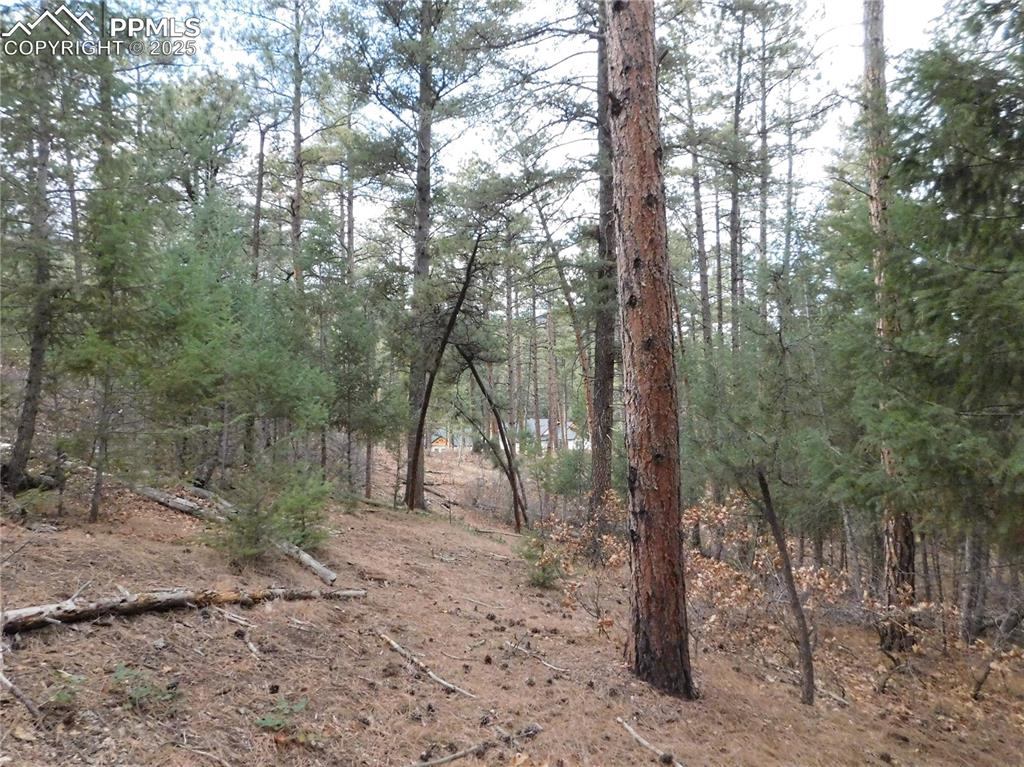 Image 11 of 46: No Description Available