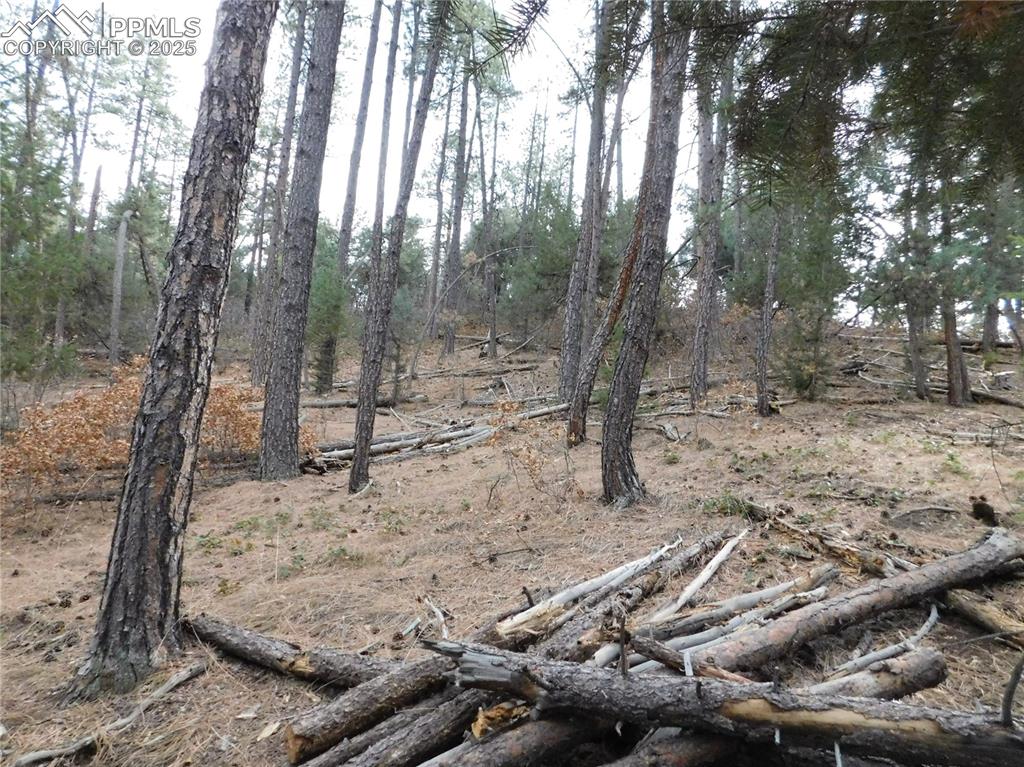 Image 12 of 46: No Description Available