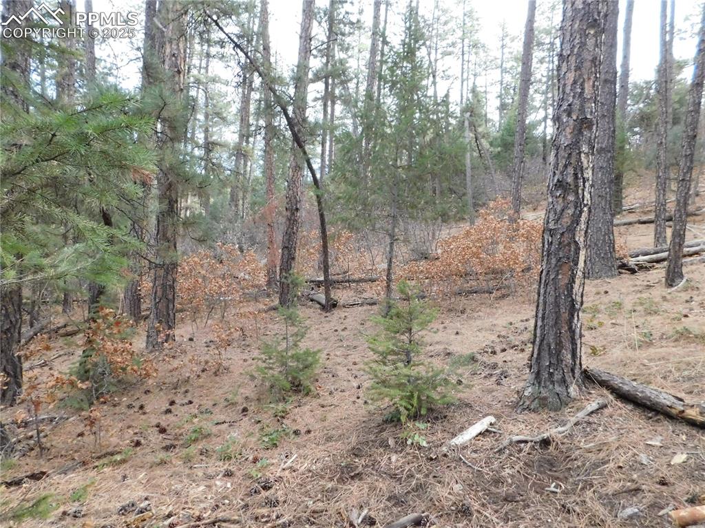 Image 13 of 46: No Description Available