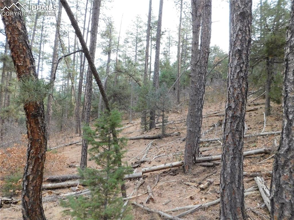 Image 14 of 46: No Description Available