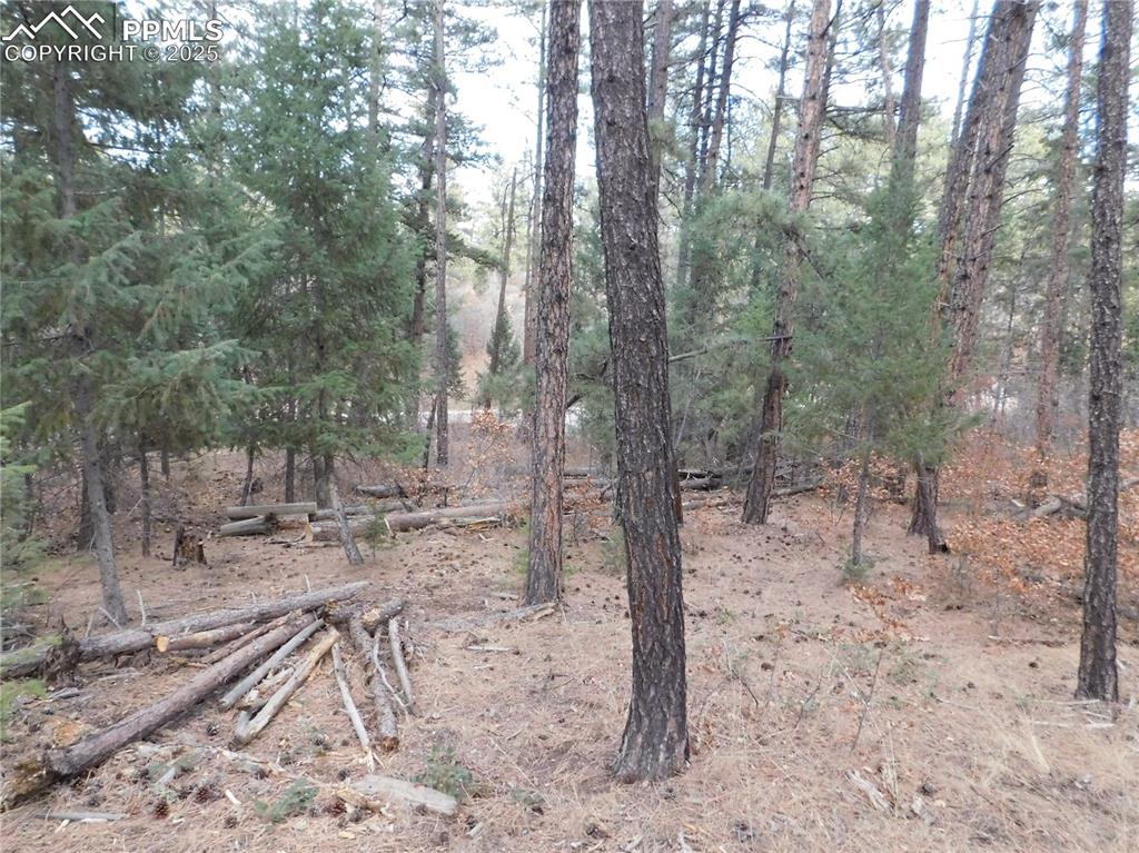 Image 15 of 46: No Description Available