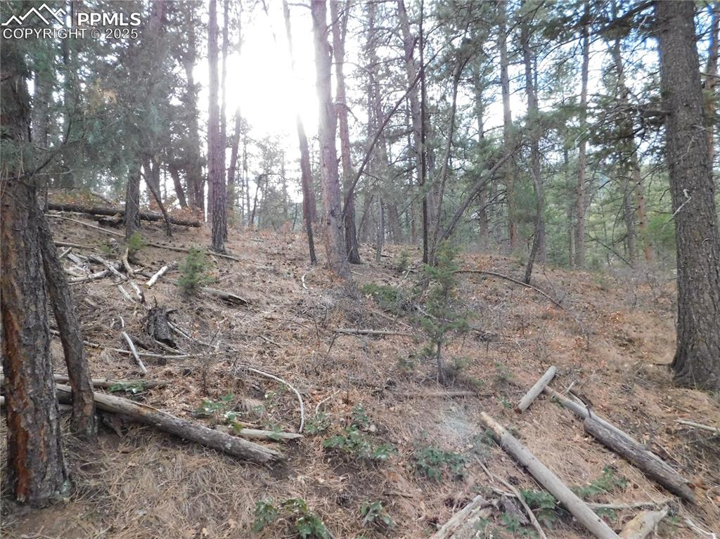 Image 16 of 46: No Description Available