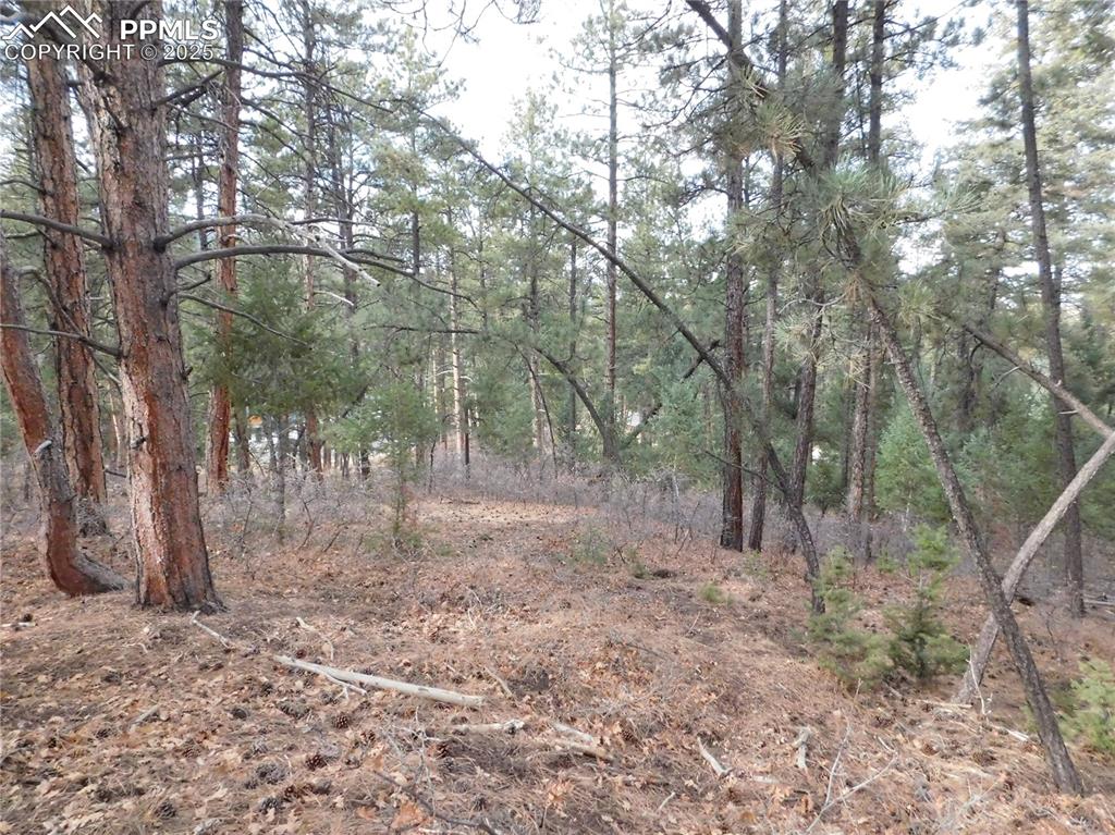 Image 17 of 46: No Description Available