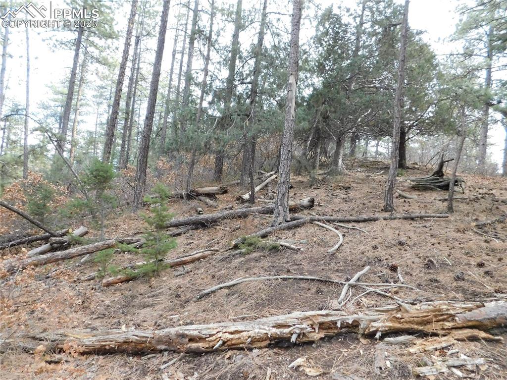 Image 19 of 46: No Description Available