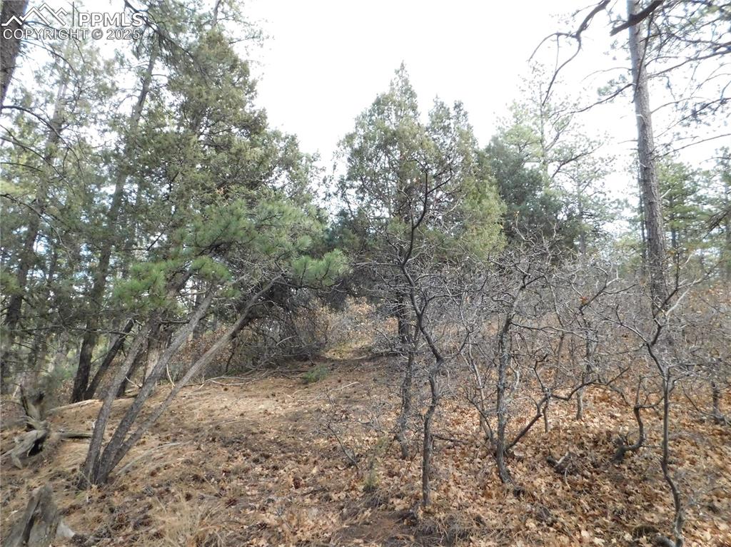 Image 21 of 46: No Description Available