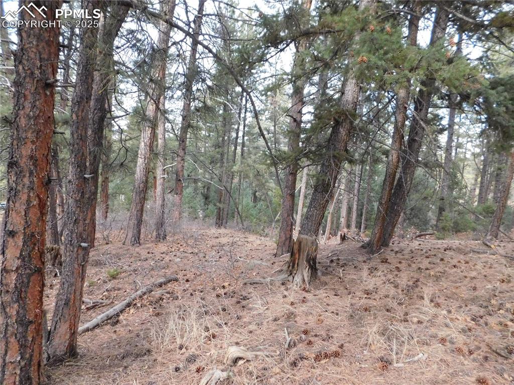 Image 22 of 46: No Description Available