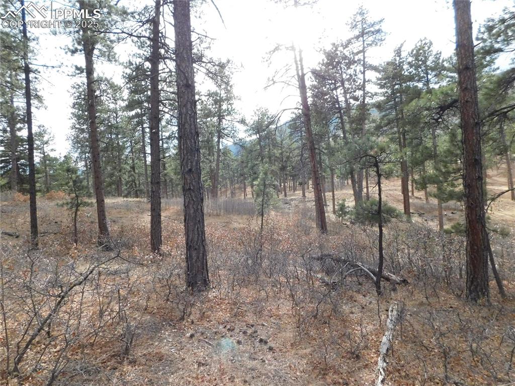 Image 24 of 46: No Description Available