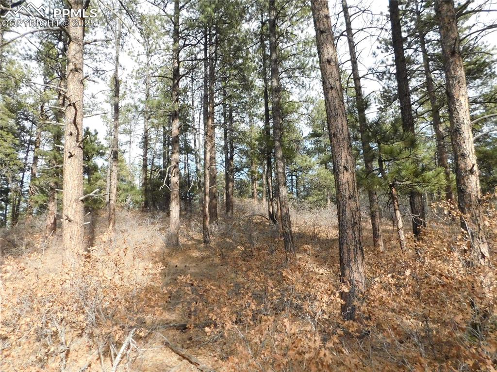 Image 26 of 46: No Description Available