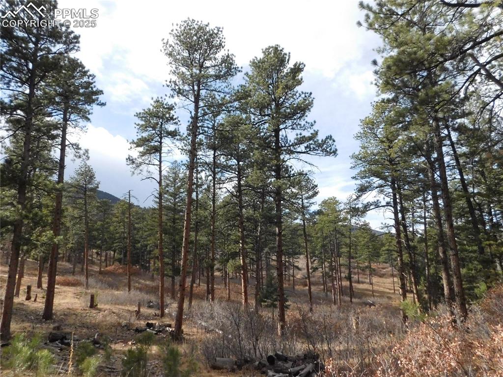 Image 27 of 46: No Description Available