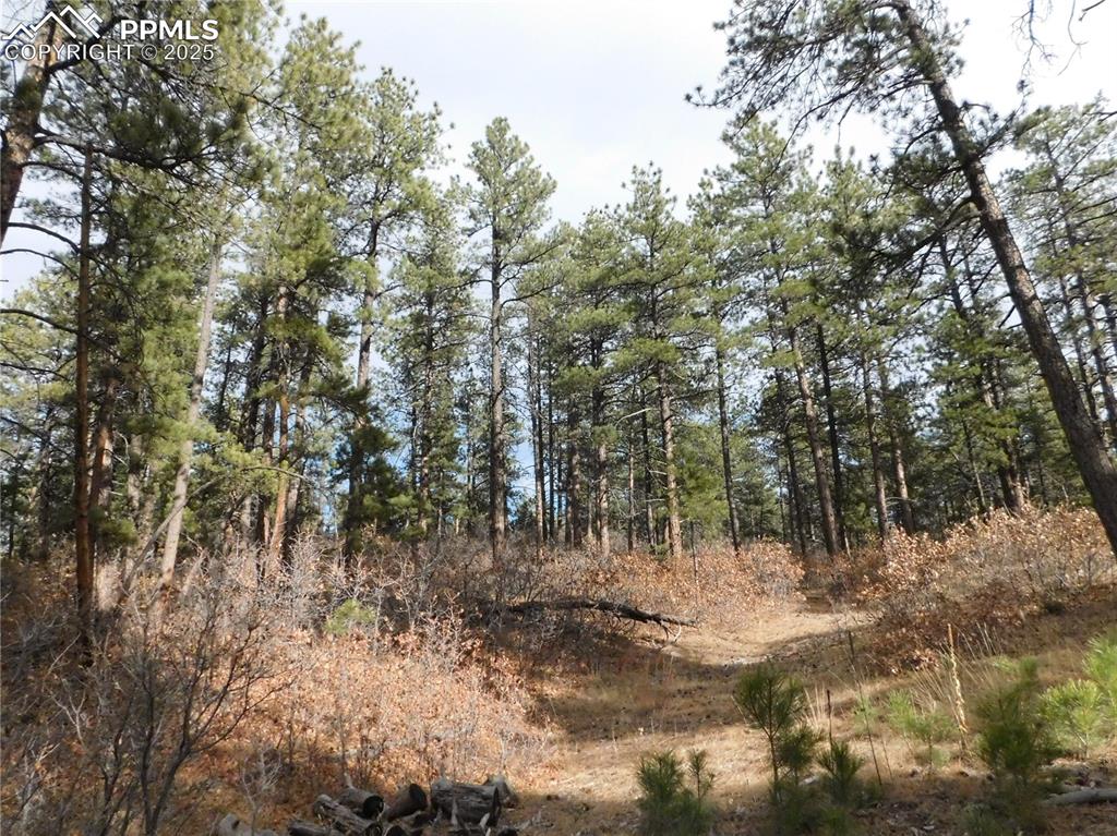 Image 28 of 46: No Description Available