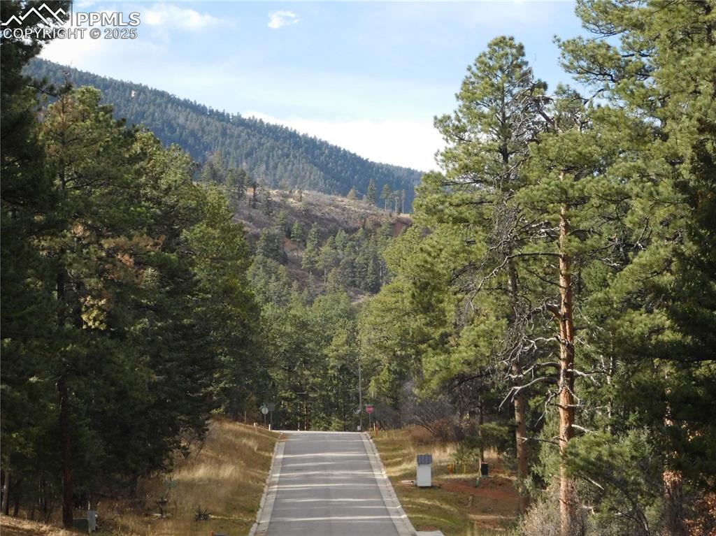 Image 3 of 46: No Description Available