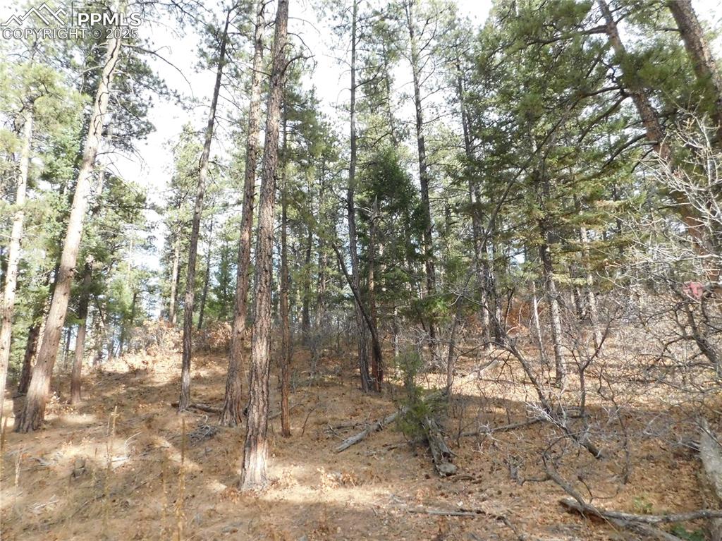 Image 30 of 46: No Description Available