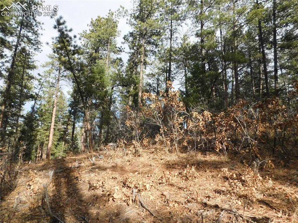 Image 31 of 46: No Description Available