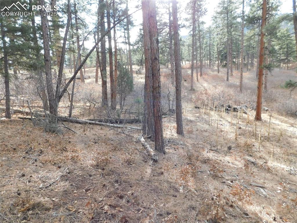 Image 32 of 46: No Description Available