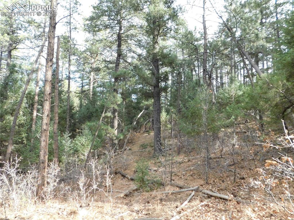 Image 34 of 46: No Description Available