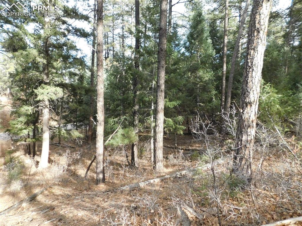 Image 35 of 46: No Description Available