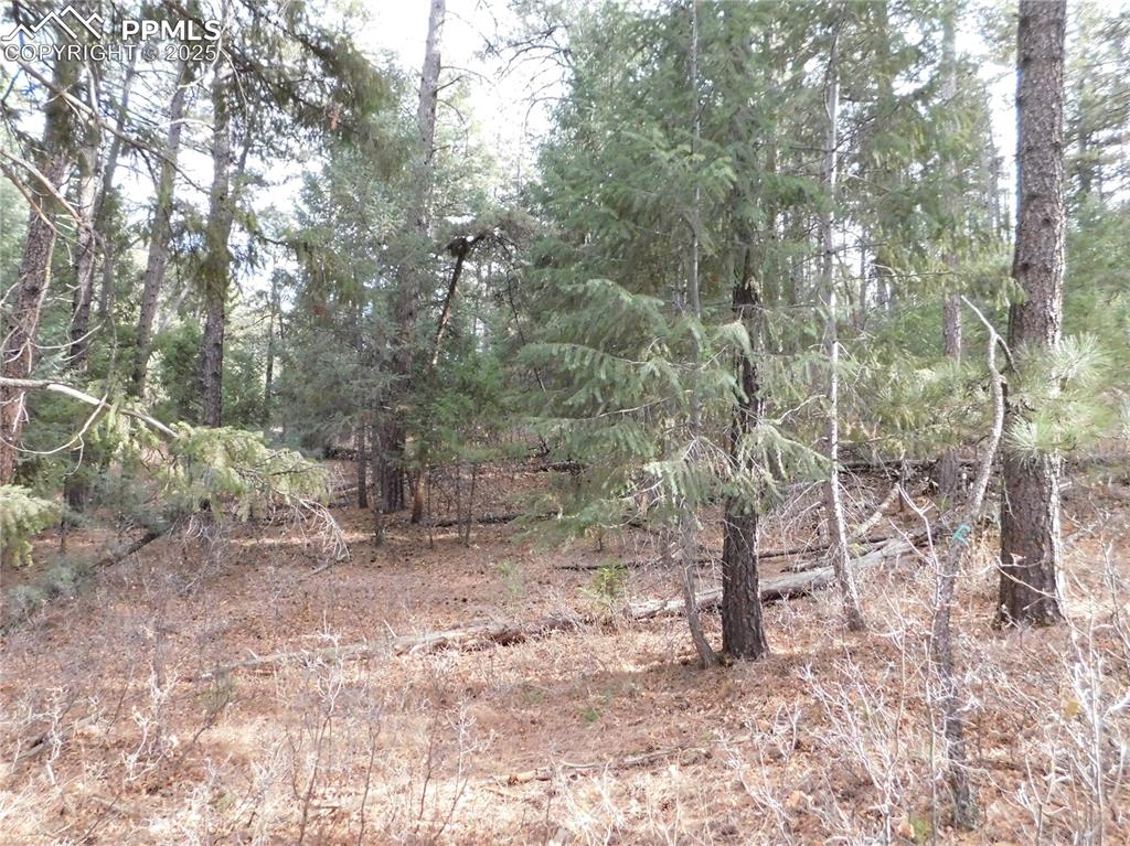 Image 36 of 46: No Description Available