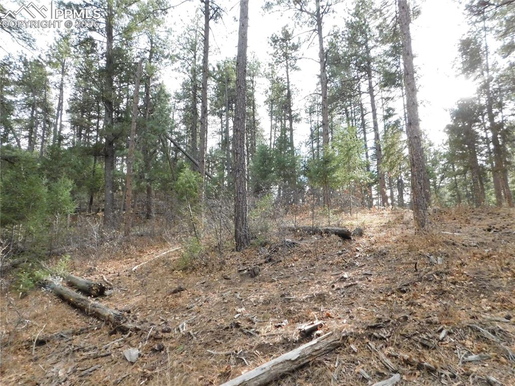 Image 37 of 46: No Description Available