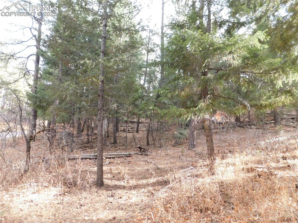 Image 38 of 46: No Description Available