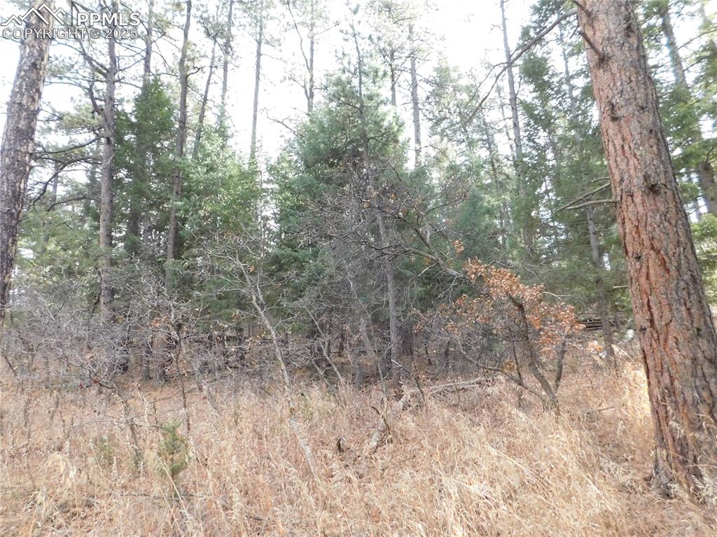 Image 39 of 46: No Description Available