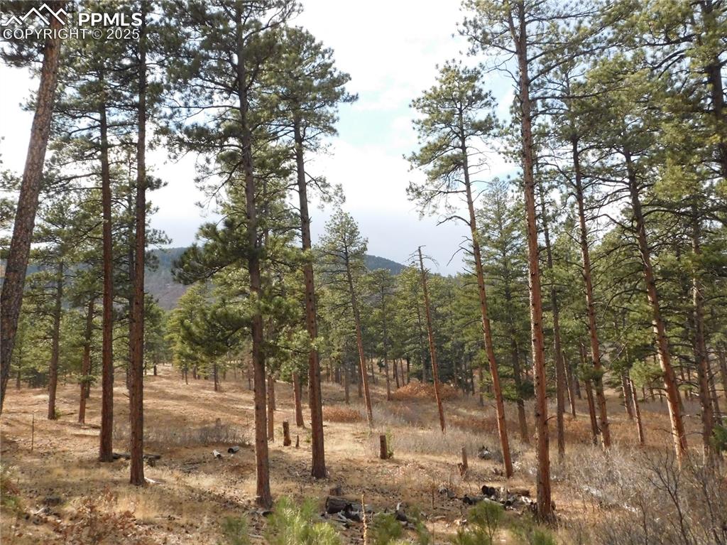 Image 4 of 46: No Description Available