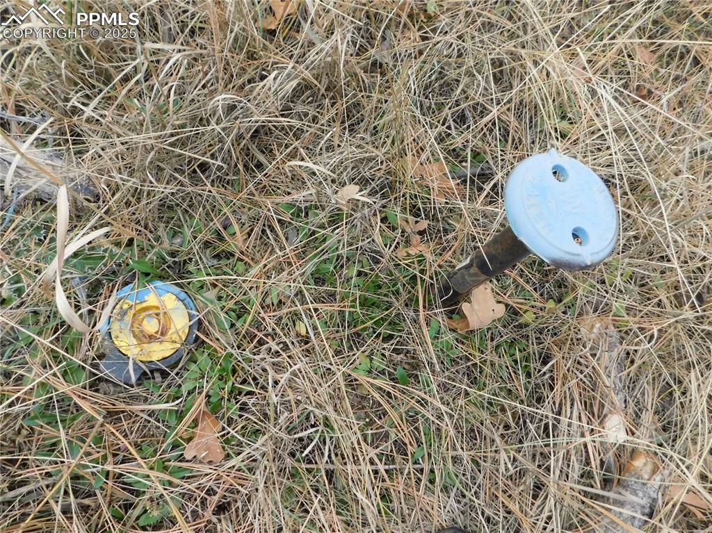 Image 41 of 46: No Description Available