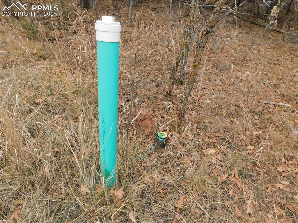 Image 42 of 46: No Description Available