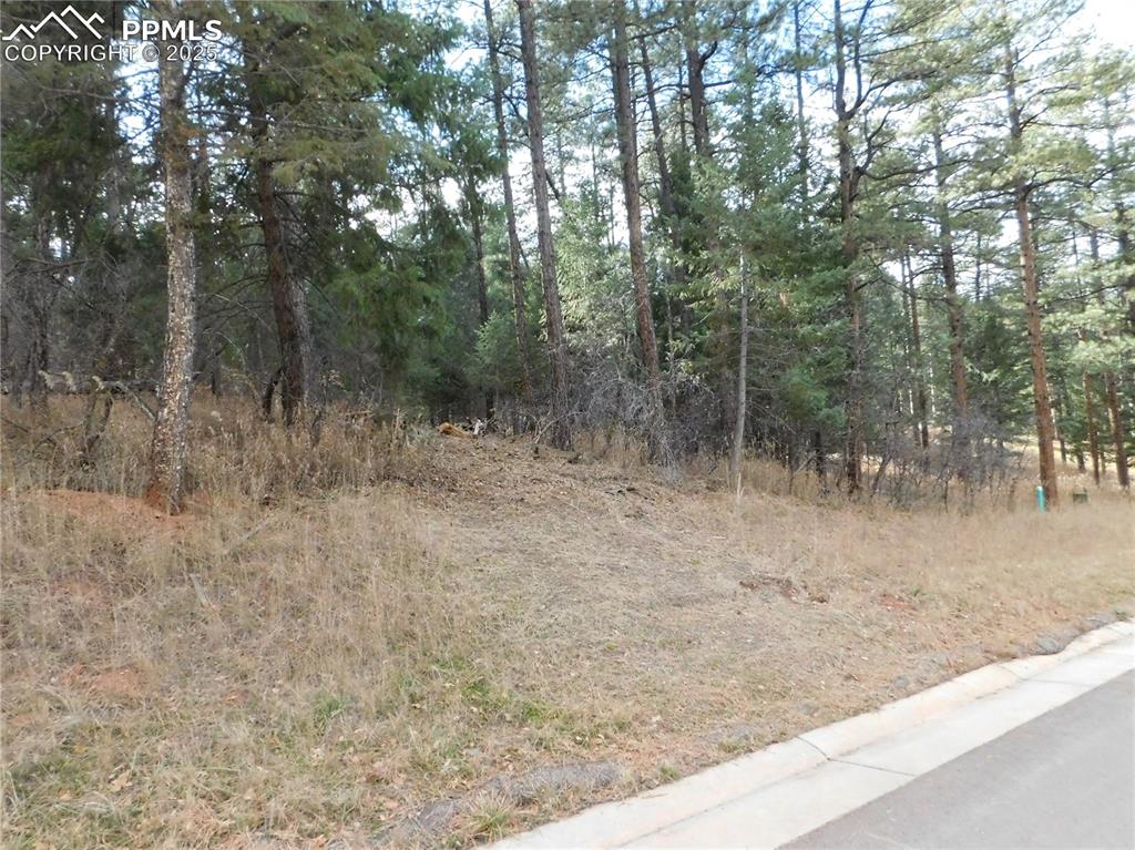 Image 44 of 46: No Description Available