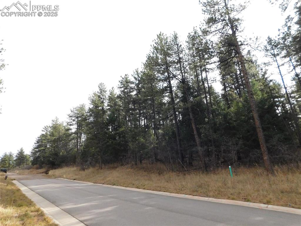 Image 45 of 46: No Description Available