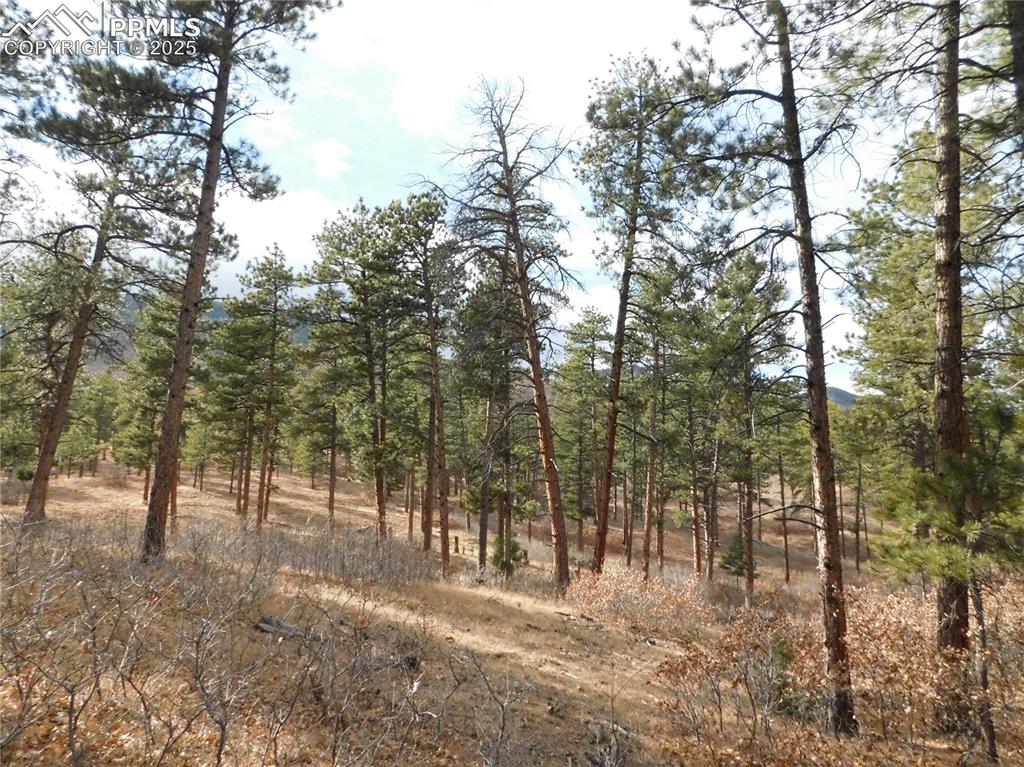 Image 5 of 46: No Description Available