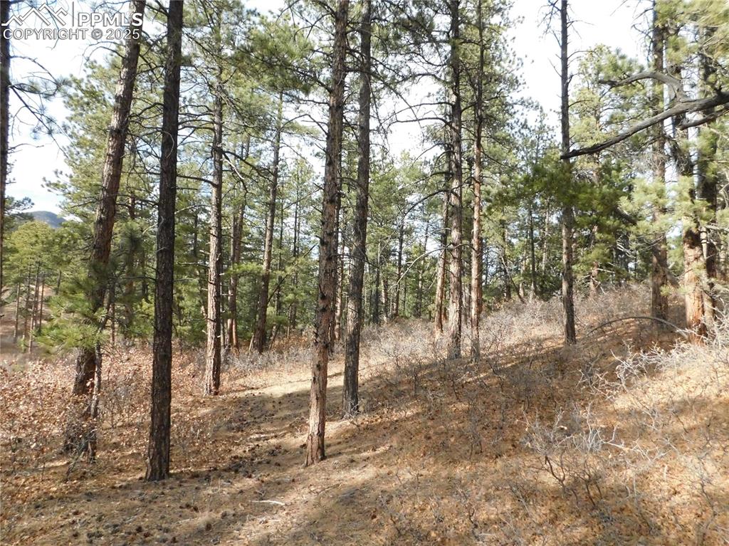 Image 6 of 46: No Description Available