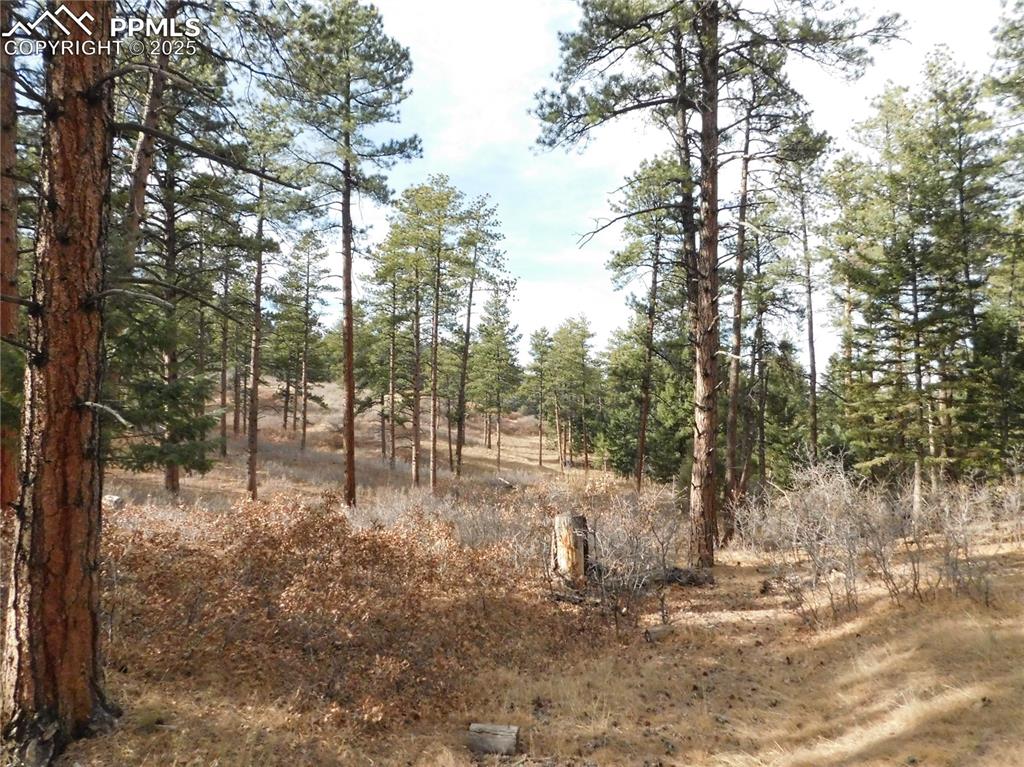 Image 7 of 46: No Description Available